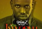Drimz – Kwenyu Mp3 Download
